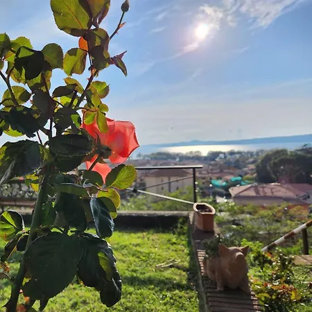 Le Vigne Bolsena