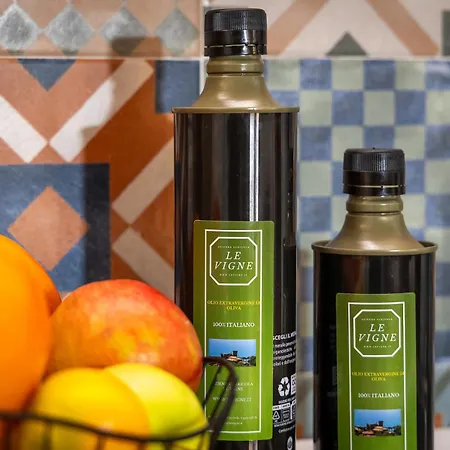 农家乐 葡萄度假农庄乡村民宿 *