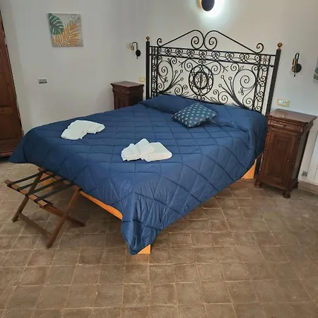 Le Vigne *